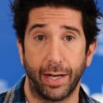 David Schwimmer American Actor, Director