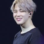 Jimin Korean Singer, Songwriter, Dancer