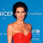 Angie Harmon American Actress, Model