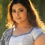 Meena Indian Actress