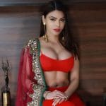 Sherlyn Chopra Indian Actress, Model