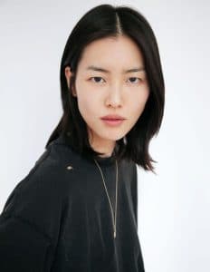 Liu Wen model